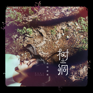 《树洞》歌曲最新网络热评
